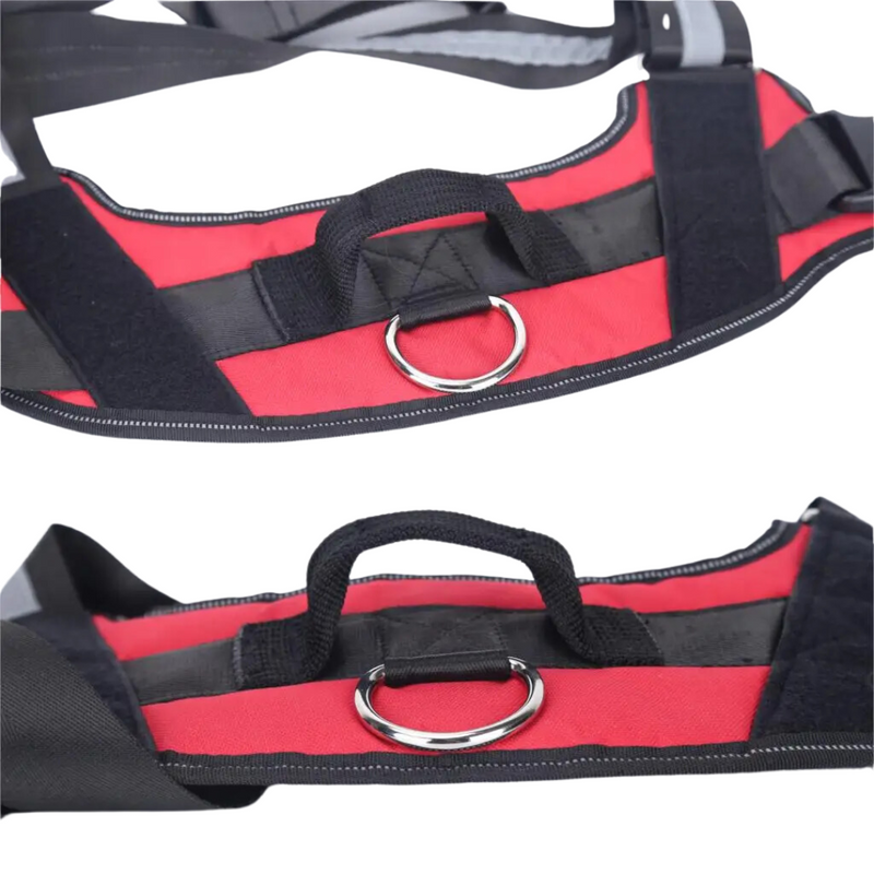 Peitoral Ajustável para Cachorros com Nome Personalizado: Conforto e Estilo para Seu Melhor Amigo