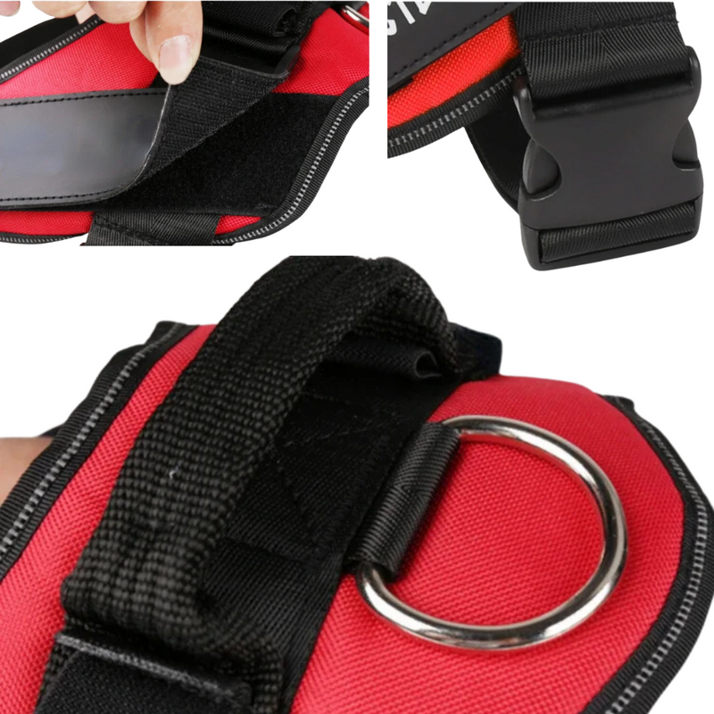 Peitoral Ajustável para Cachorros com Nome Personalizado: Conforto e Estilo para Seu Melhor Amigo