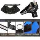 Peitoral Ajustável para Cachorros com Nome Personalizado: Conforto e Estilo para Seu Melhor Amigo