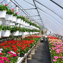 Rafia para Jardim: Proteja Seu Espaço e Combata Ervas Daninhas com Facilidade