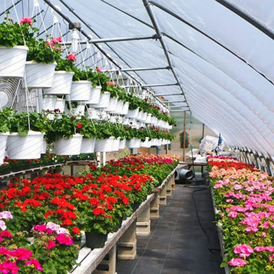 Rafia para Jardim: Proteja Seu Espaço e Combata Ervas Daninhas com Facilidade