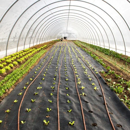 Rafia para Jardim: Proteja Seu Espaço e Combata Ervas Daninhas com Facilidade