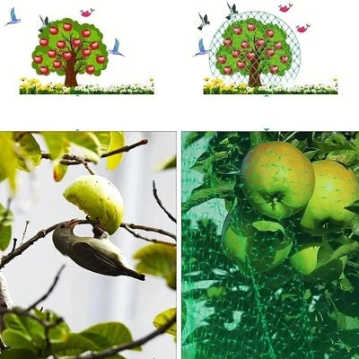 Rede Protetora para Jardim e Plantas Contra Pássaros