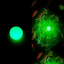 Armadilha Automática Portátil Para Peixes e Camarões – Versatilidade de 4 a 20 Buracos