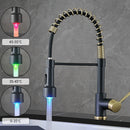 Torneira Flexível para Cozinha com Misturador de Água