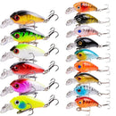 Conjunto Prático de Iscas Artificiais – Até 15 Peças Para Potencializar Suas Pescarias