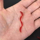 Isca de Minhoca Vermelha 5cm com Aroma Realista - Pacotes de 50 a 1000 Peças para Atração Eficaz