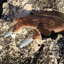 Kit de Iscas Artificiais Soft Fishing 8cm - 5 Unidades com Ganchos para Capturas Incríveis