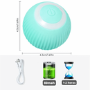 Divirta Seu Pet Com a Bolinha Elétrica Automática