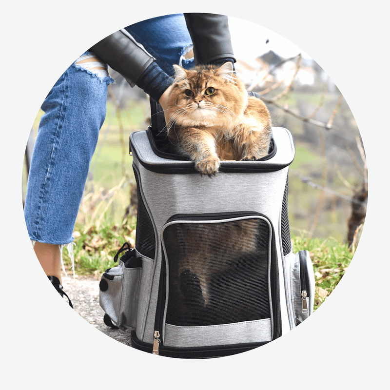 Bolsa de Transporte Expandida para Gatos – Conforto e Segurança para Aventura até 8kg