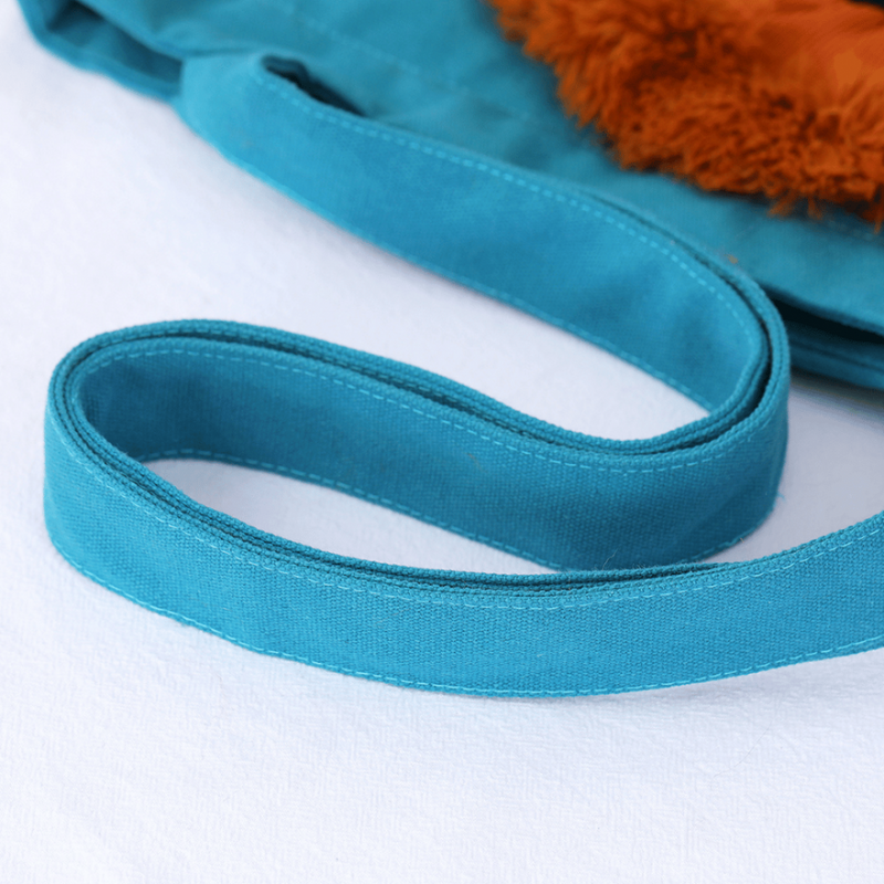 Bolsa de Transporte Confortável Leão para Cães e Gatos