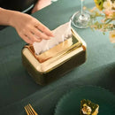 Organizador Elegante para Lenços e Papéis Cromado Lenogue