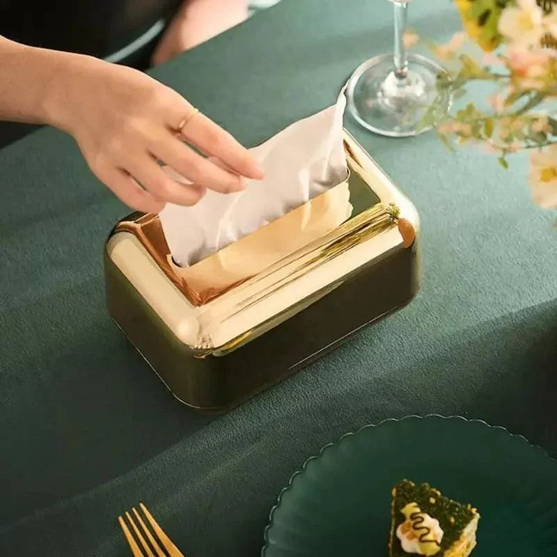 Organizador Elegante para Lenços e Papéis Cromado Lenogue