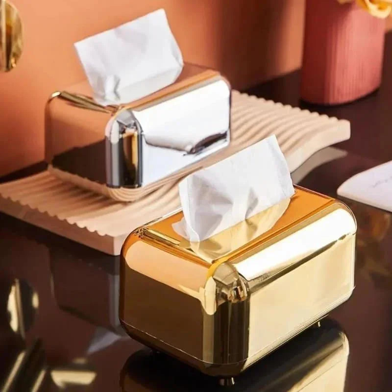 Organizador Elegante para Lenços e Papéis Cromado Lenogue