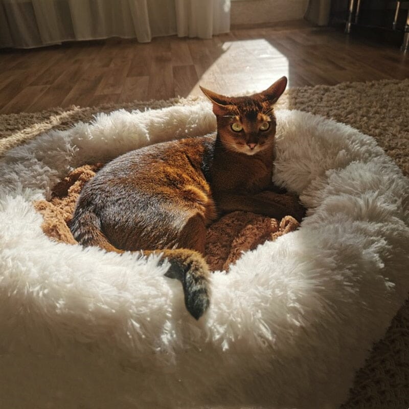 Cama Nuvem Confortável para Cães e Gatos – Aconchego e Relaxamento em Cada Soneca
