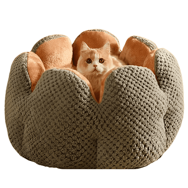 Cama Macia para Gatos – Conforto e Serenidade para o Seu Bicho de Estimação