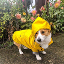 Capa de Chuva para Cães – Conforto e Proteção em Todas as Condições