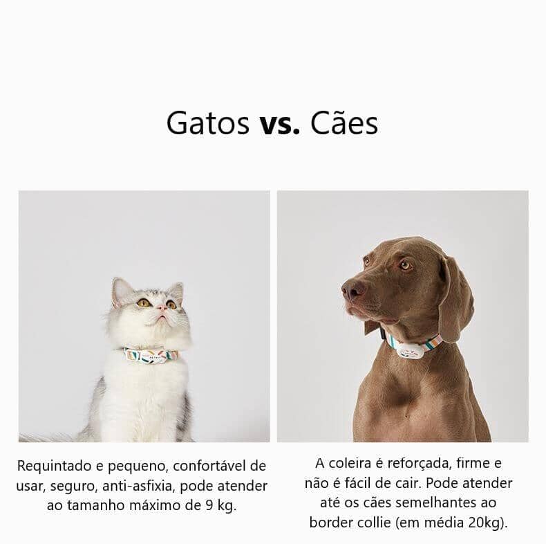 Coleira Inteligente para Gatos – Localização em Tempo Real e Sem Taxas Mensais