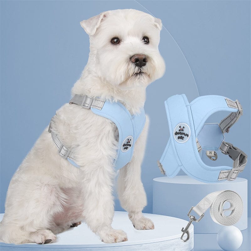 Coleira e Guia Confortável para Cães e Gatos – Kit Prático para Passeios Felizes