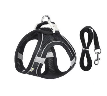 Coleira Peitoral Confortável para Cães e Gatos - Proteção e Liberdade para Seu Pet