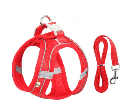Coleira Peitoral Confortável para Cães e Gatos - Proteção e Liberdade para Seu Pet