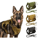 Coleira Peitoral Tática K9: Conforto e Controle para Cães Grandes