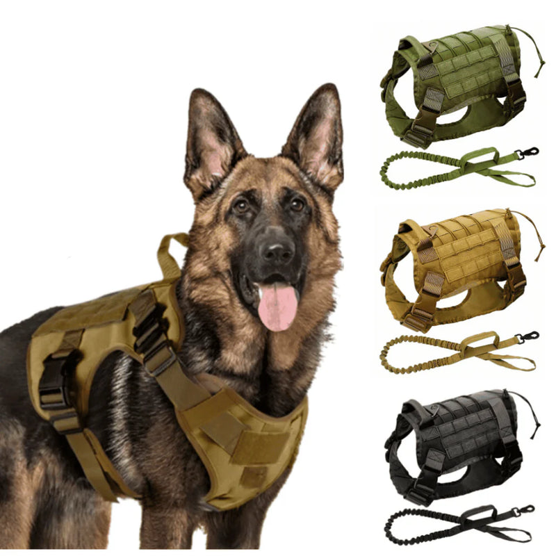 Coleira Peitoral Tática K9: Conforto e Controle para Cães Grandes