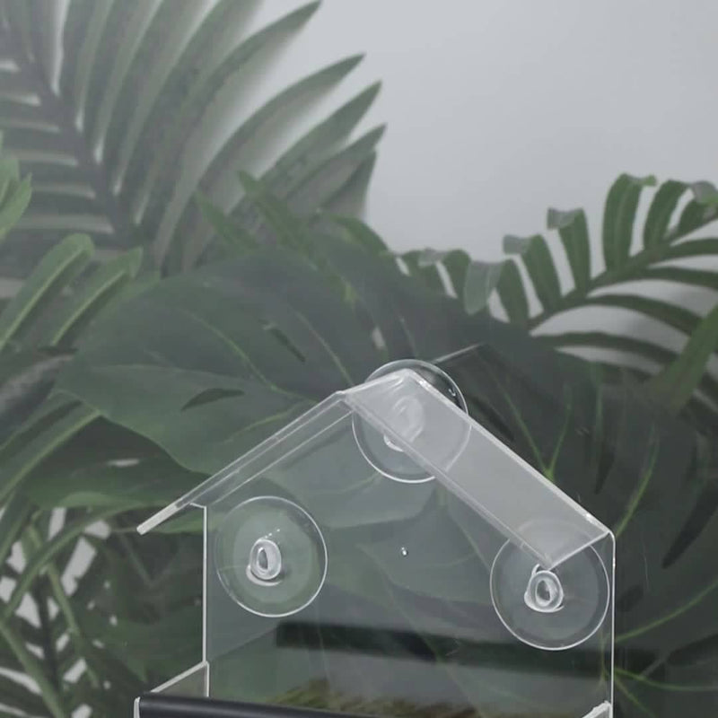 Comedouro de Janela para Pássaros - Transparente e Prático com Ventosas Seguras