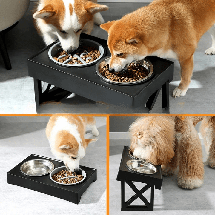 Comedouro Elevado Para Pets: Conforto na Alimentação e Digestão Saudável