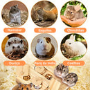 Comedouro Quebra-Cabeça Interativo para Hamsters, Chinchilas e Porquinhos-da-Índia