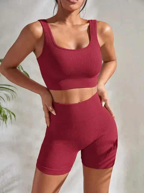 Conjunto Fitness Feminino Sem Costura - Damaris