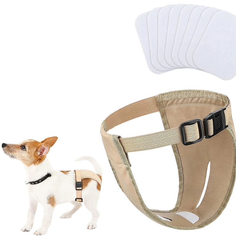 Fralda Higiênica Pet Ajustável com 8 Refil Laváveis para Conforto e Proteção de Cadelas em Cio