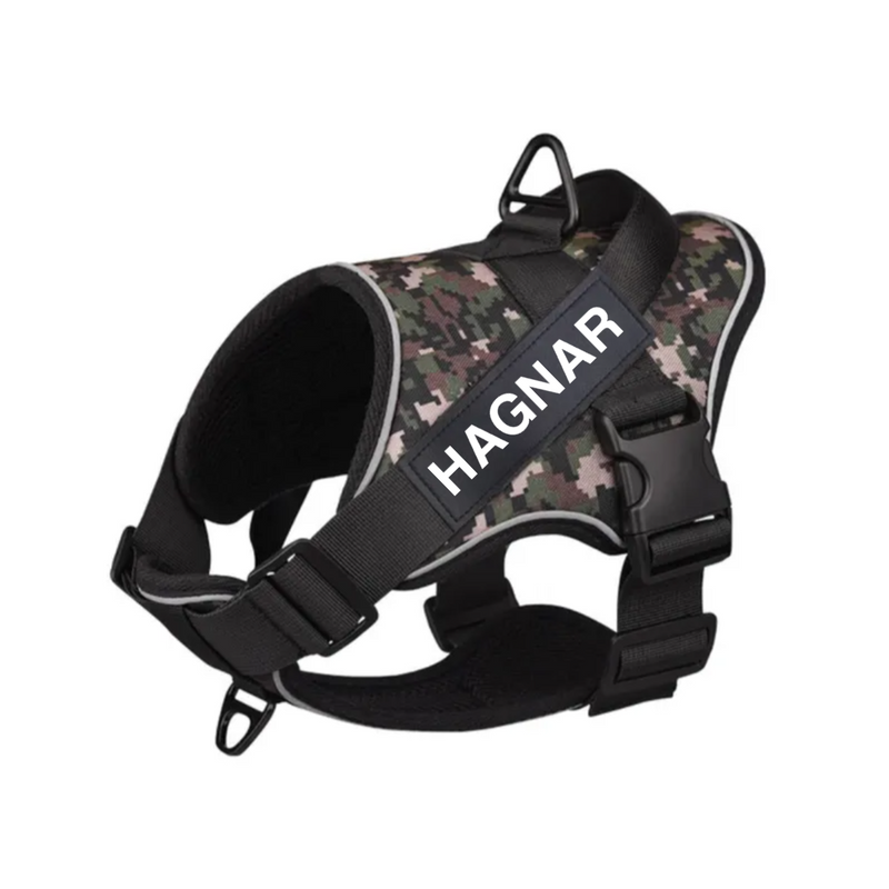 Coleira Peitoral K9 Personalizada: Conforto e Segurança para o Seu Melhor Amigo