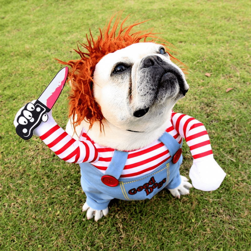 Fantasia Chucky para Cães e Gatos: Diversão e Susto em Grande Estilo