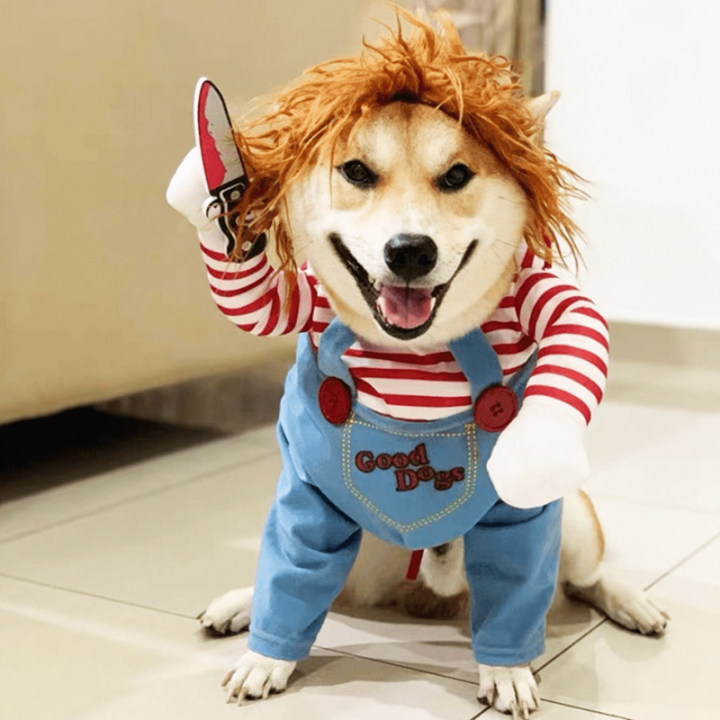 Fantasia Chucky para Cães e Gatos: Diversão e Susto em Grande Estilo