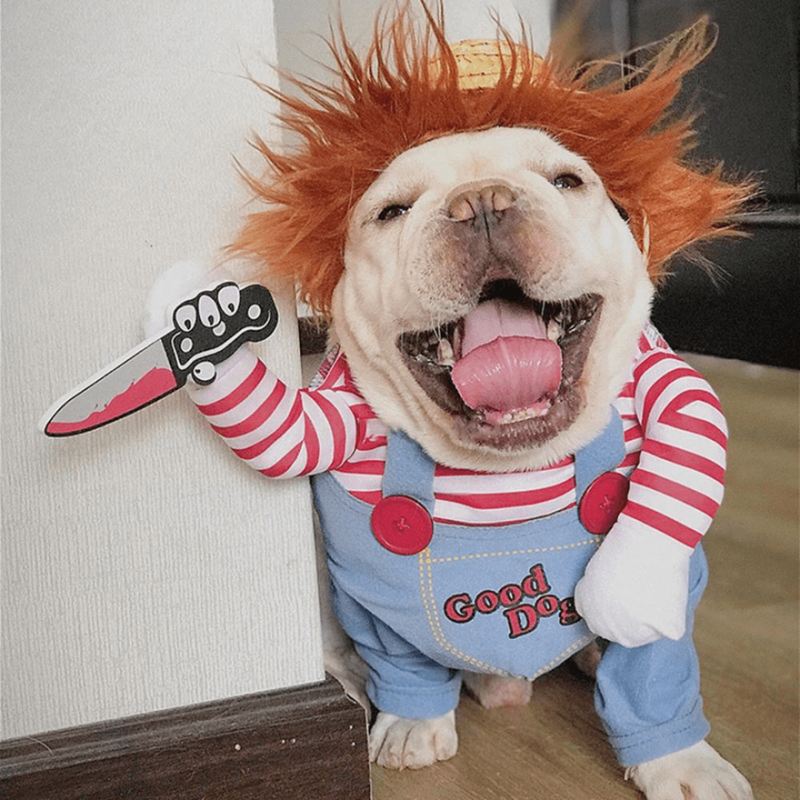 Fantasia Chucky para Cães e Gatos: Diversão e Susto em Grande Estilo