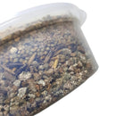 Graminha Natural para Gatos - Delícia Segura em Kit com 2