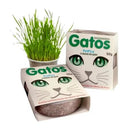 Graminha Natural para Gatos - Delícia Segura em Kit com 2