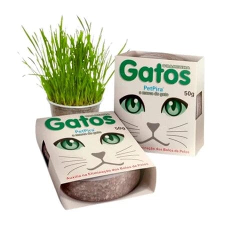 Graminha Natural para Gatos - Delícia Segura em Kit com 2