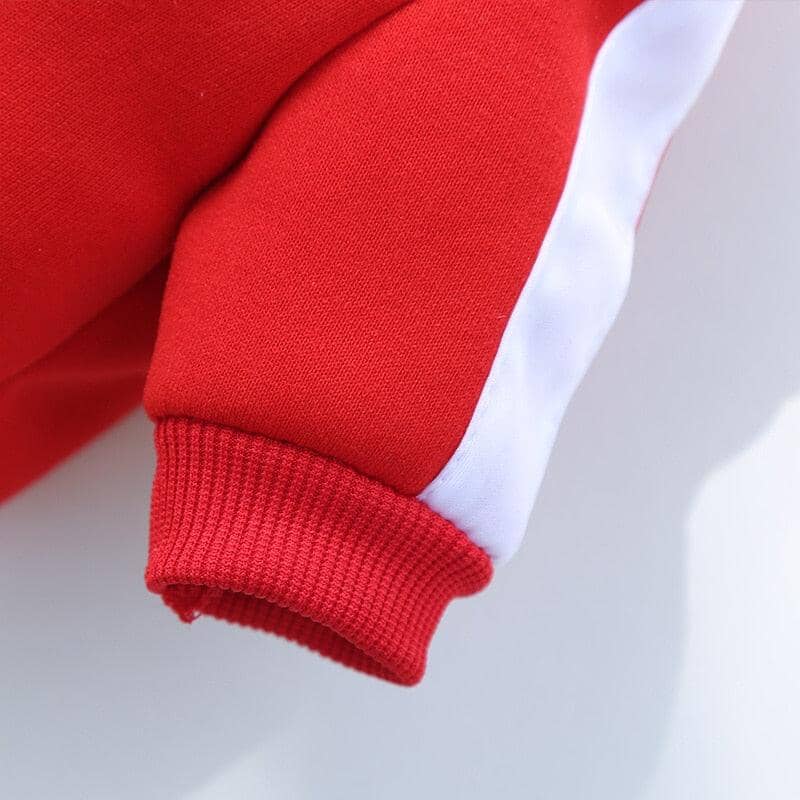 **Jaqueta Elegante para Cães – Conforto e Estilo nos Dias Frios**