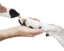 Lixador Elétrico de Unhas para Pets – Conforto e Tranquilidade na Hora de Cuidar
