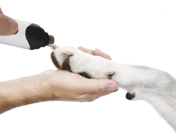 Lixador Elétrico de Unhas para Pets – Conforto e Tranquilidade na Hora de Cuidar