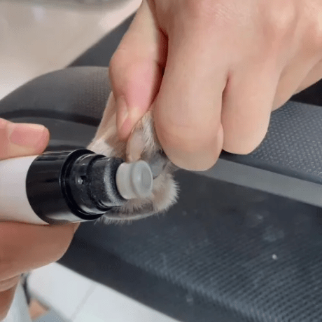 Lixador Elétrico de Unhas para Pets – Conforto e Tranquilidade na Hora de Cuidar