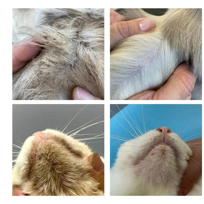 Luvas de Limpeza Secas para Pets – Praticidade e Conforto em Cada Toque