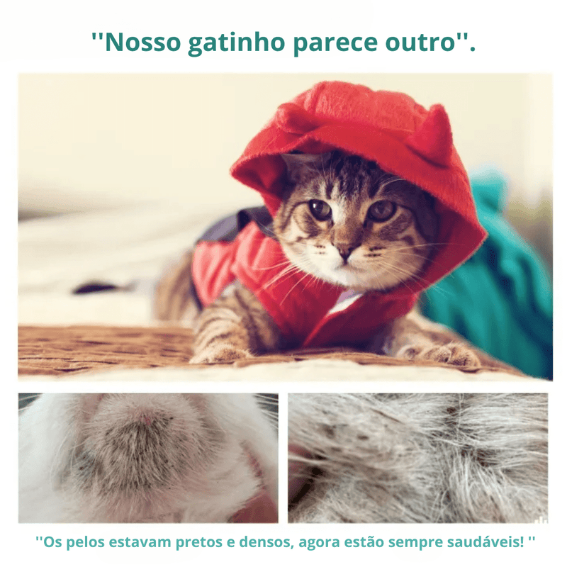 Luvas de Limpeza Secas para Pets – Praticidade e Conforto em Cada Toque