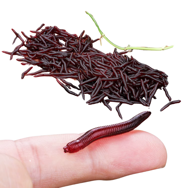 Iscas de Pesca Sougayilang: Minhocas Realistas para Resultados Impressionantes – 50 a 200 Unidades