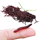 Iscas de Pesca Sougayilang: Minhocas Realistas para Resultados Impressionantes – 50 a 200 Unidades