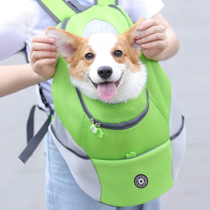 Mochila Confortável para Transporte de Pets Pequenos – Praticidade e Ventilação para Momentos Incríveis