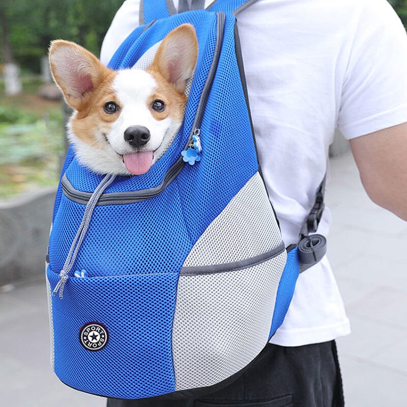 Mochila Confortável para Transporte de Pets Pequenos – Praticidade e Ventilação para Momentos Incríveis