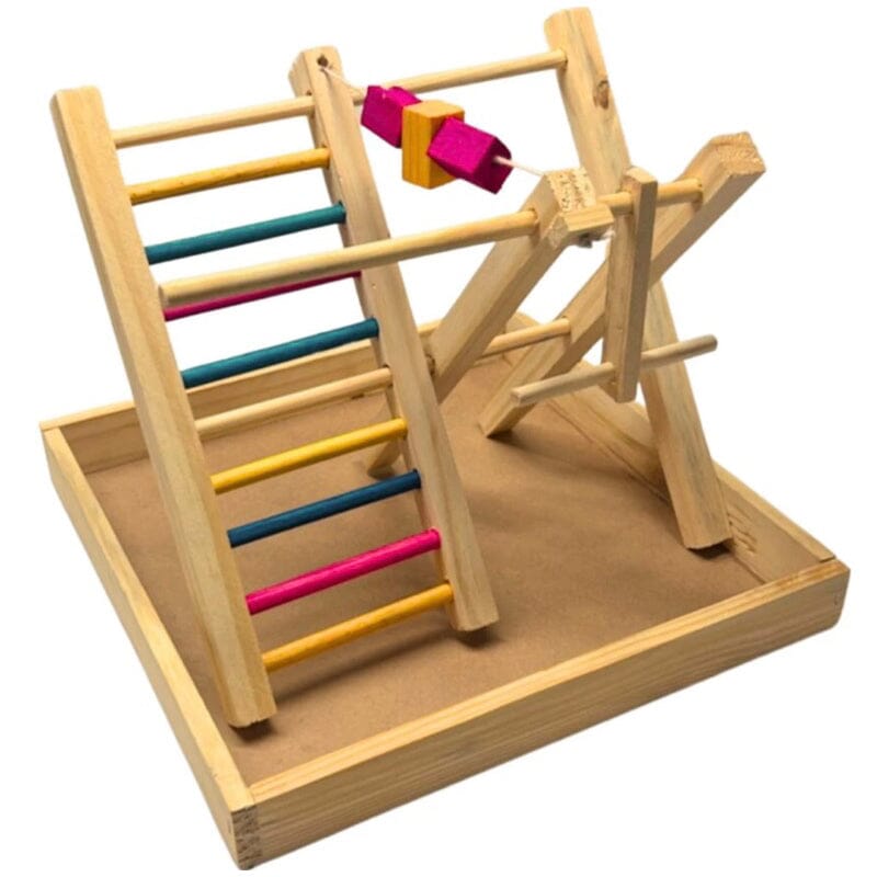 Espaço Divertido para Calopsitas - Escadas e Brincadeiras que Encantam